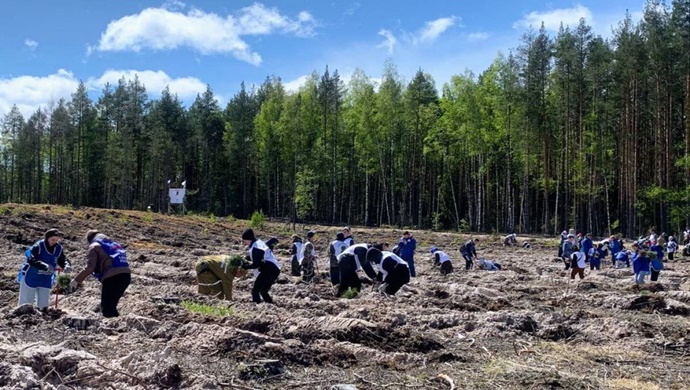 В Нижегородской области в рамках акции «Сад памяти» активисты «Единой России» высадили сосны