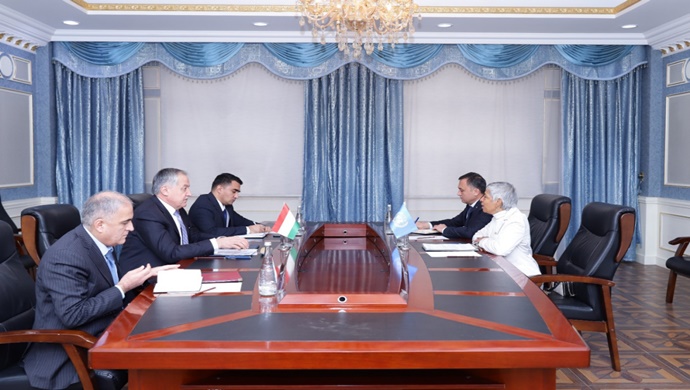 Meeting of the Minister of Foreign Affairs with the UN Resident Coordinator in Tajikistan