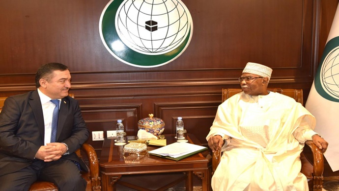 Meeting of the Deputy Minister with the Secretary General of the Organization of Islamic Cooperation