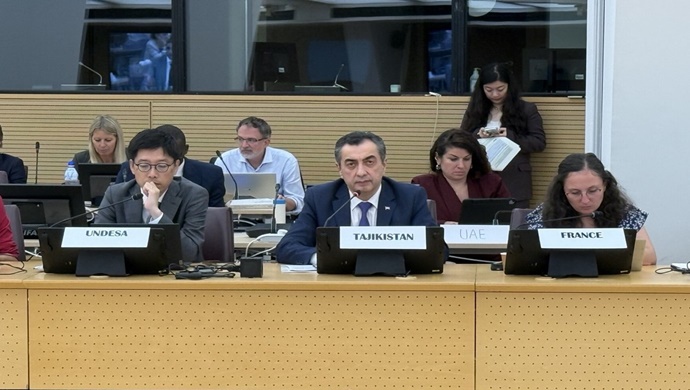Participation of the First Deputy Minister of Foreign Affairs in the UN-Water Meeting
