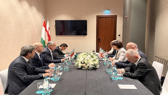 Meeting with the Deputy Prime Minister, Minister of Foreign Affairs of Georgia